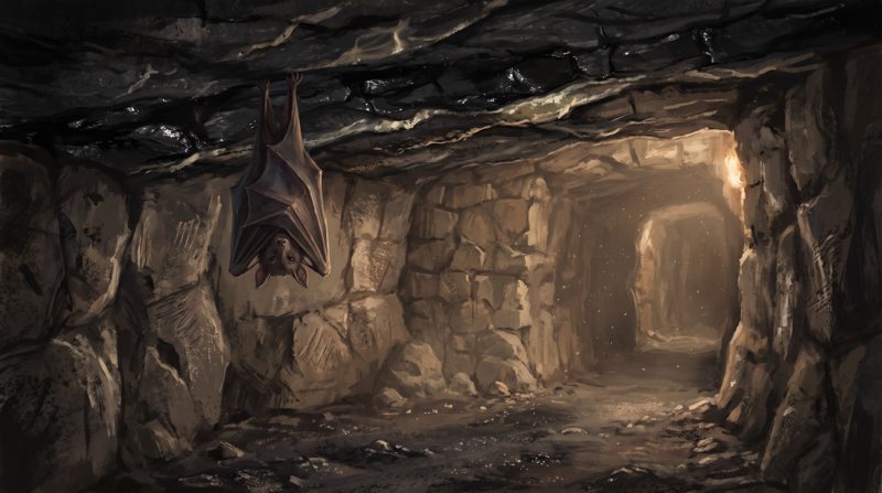 Bat Room