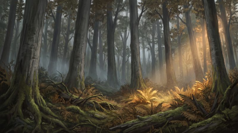 Forest