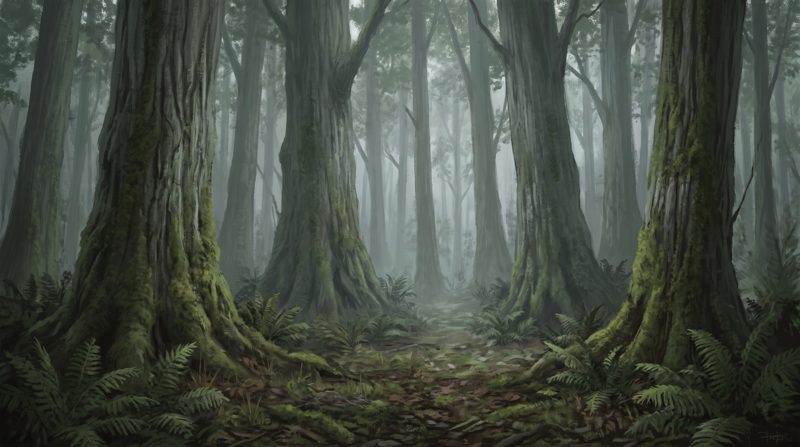 Forest